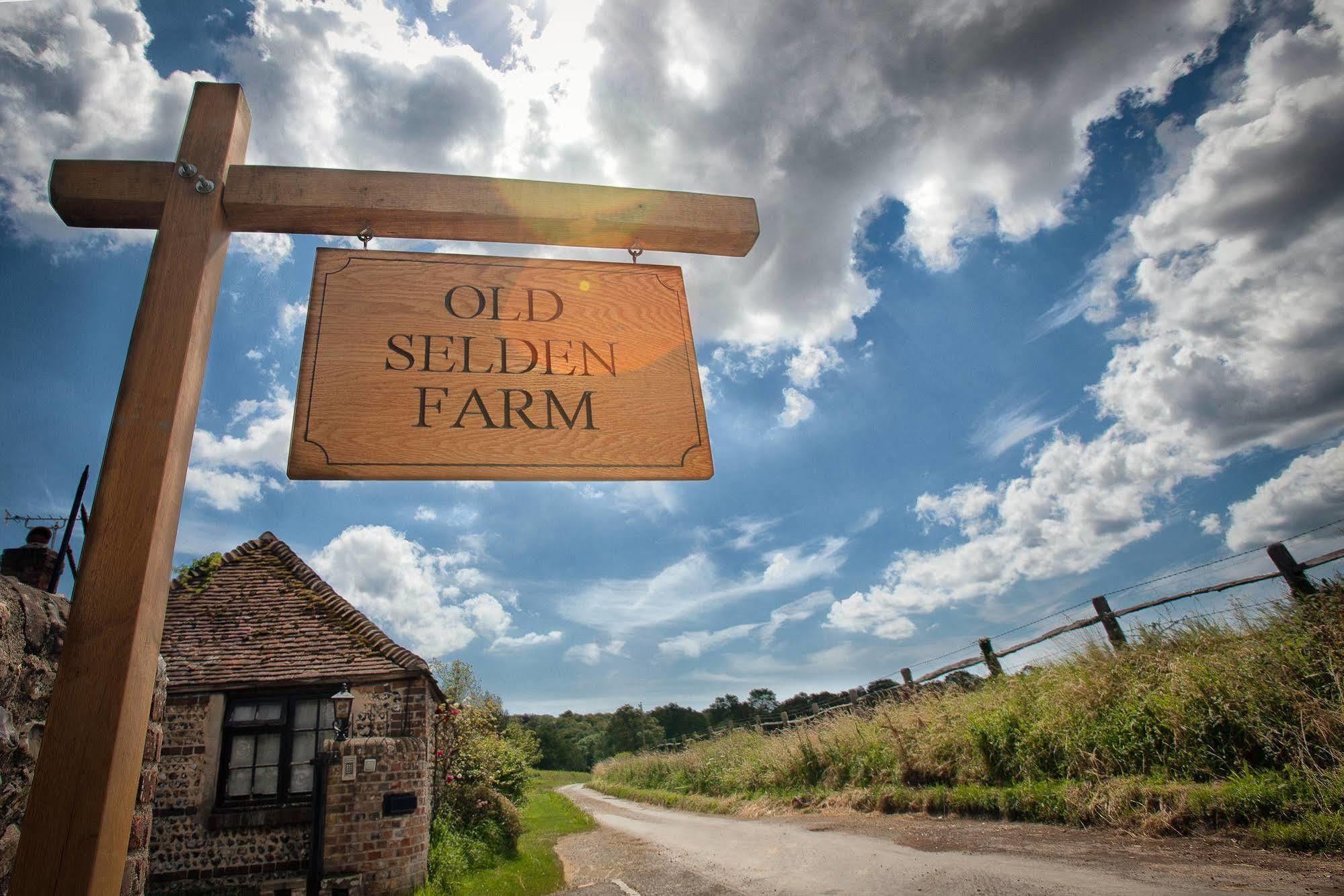 Old Selden Farm B&B Clapham  Ngoại thất bức ảnh